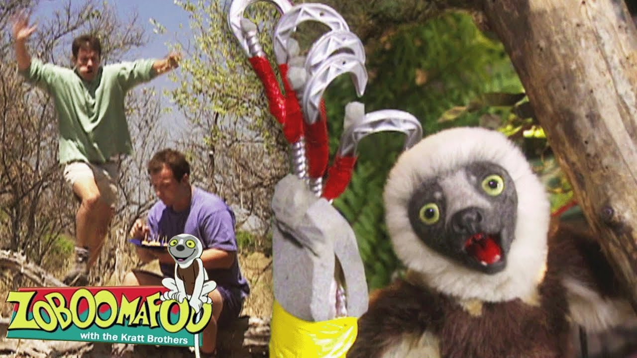 Super Garra | Zoboomafoo Português - WildBrain | Episódios Completos para Crianças