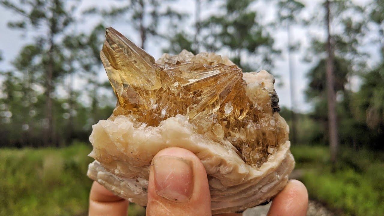 Florida is Not Known for Crystals... THIS is Why it Should Be! Finding Calcite in Fossil Clams!