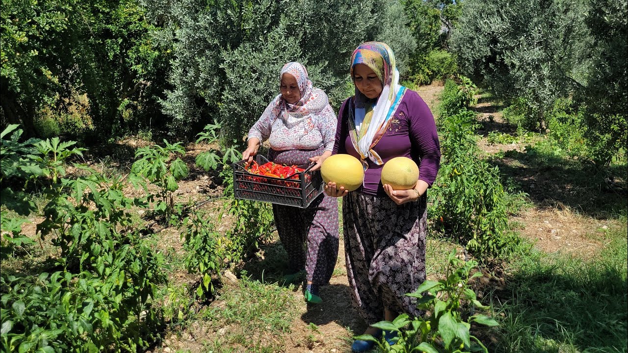 6 Ağustos 2024