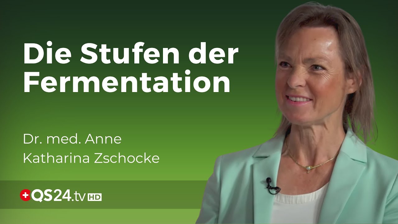 Fermentation: Die Wandlungskraft der Bakterien | Dr. Anne Katharina Zschocke | Naturmedizin | QS24