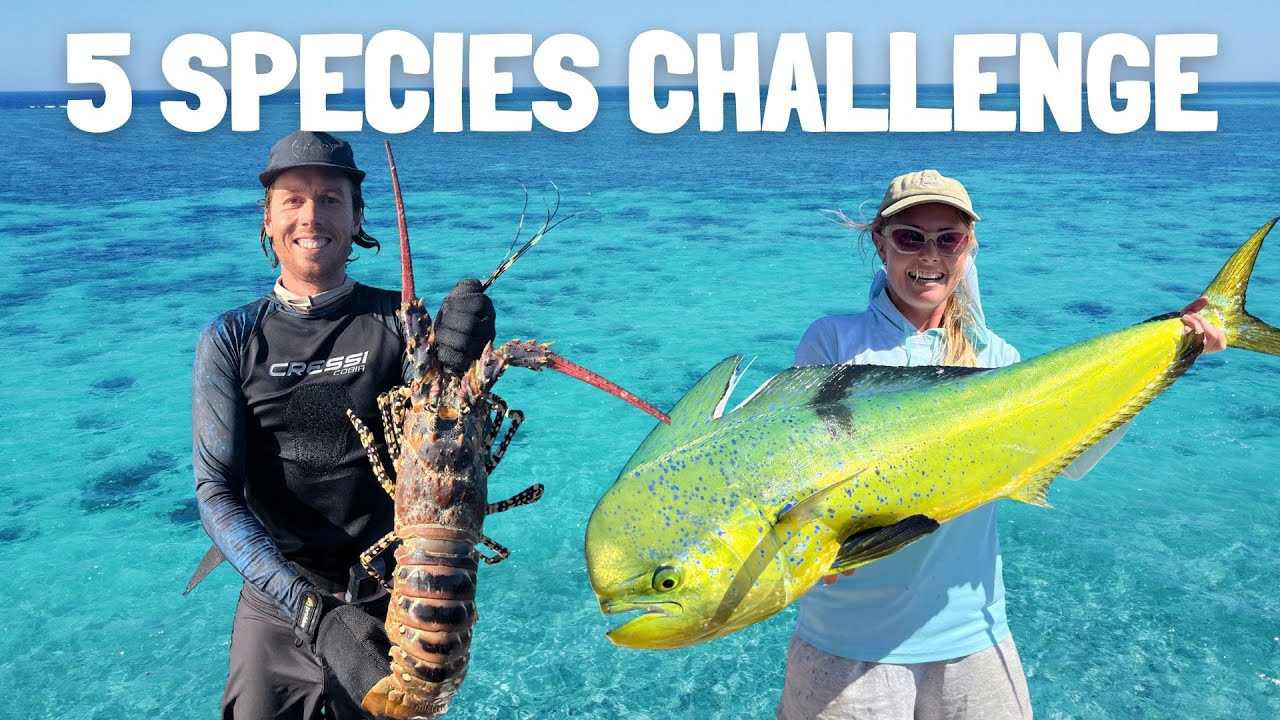 THE NINGALOO 5  - WE FINALLY Get Our Ultimate Day Of Fishing