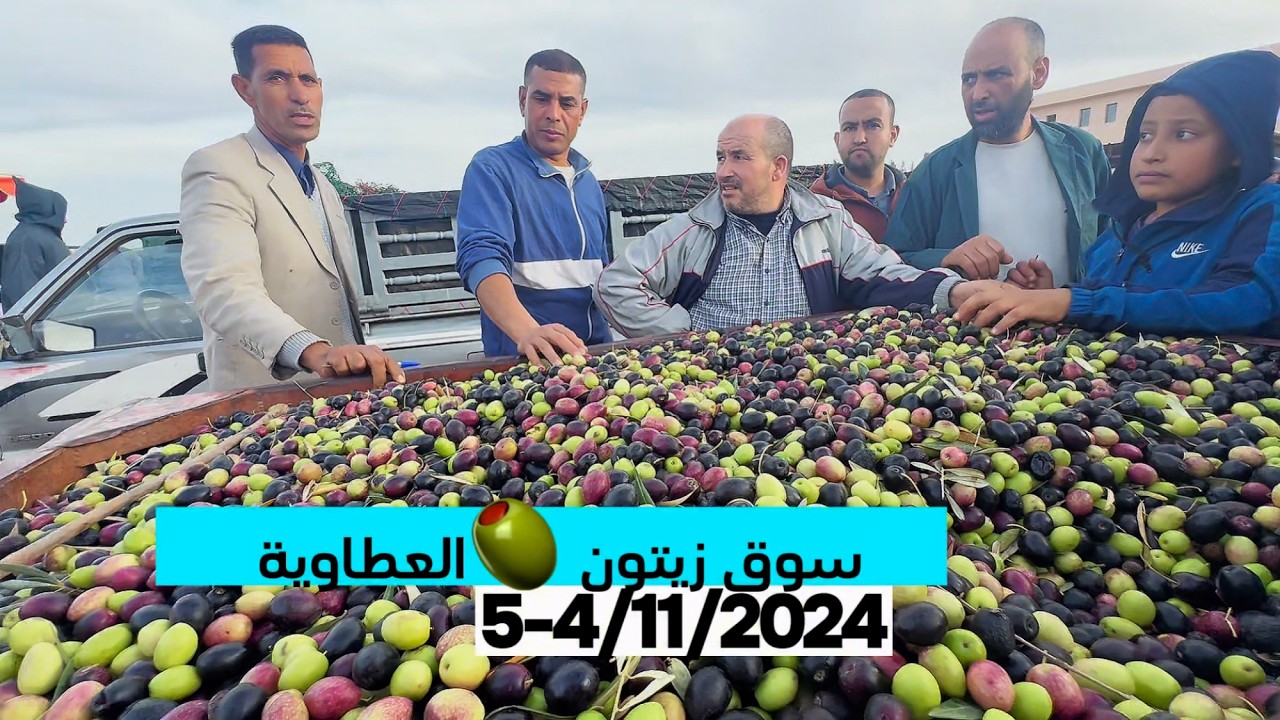 سوق العطاوية للزيتون: 5-4/11/2024 إقبال واسع وارتفاع في الأسعار فوق  16000 درهم للطن