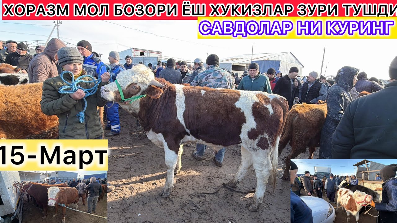 ХОРАЗМ МОЛ БОЗОРИ ЁШ ХУКИЗЛАР ЗУРИ ТУШДИ САВДОЛАР НИ КУРИНГ 15-Март 2026 г.