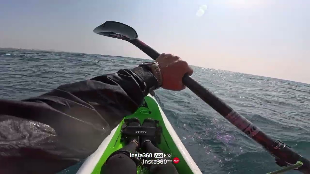 소울 서퍼(Soul Surfer)