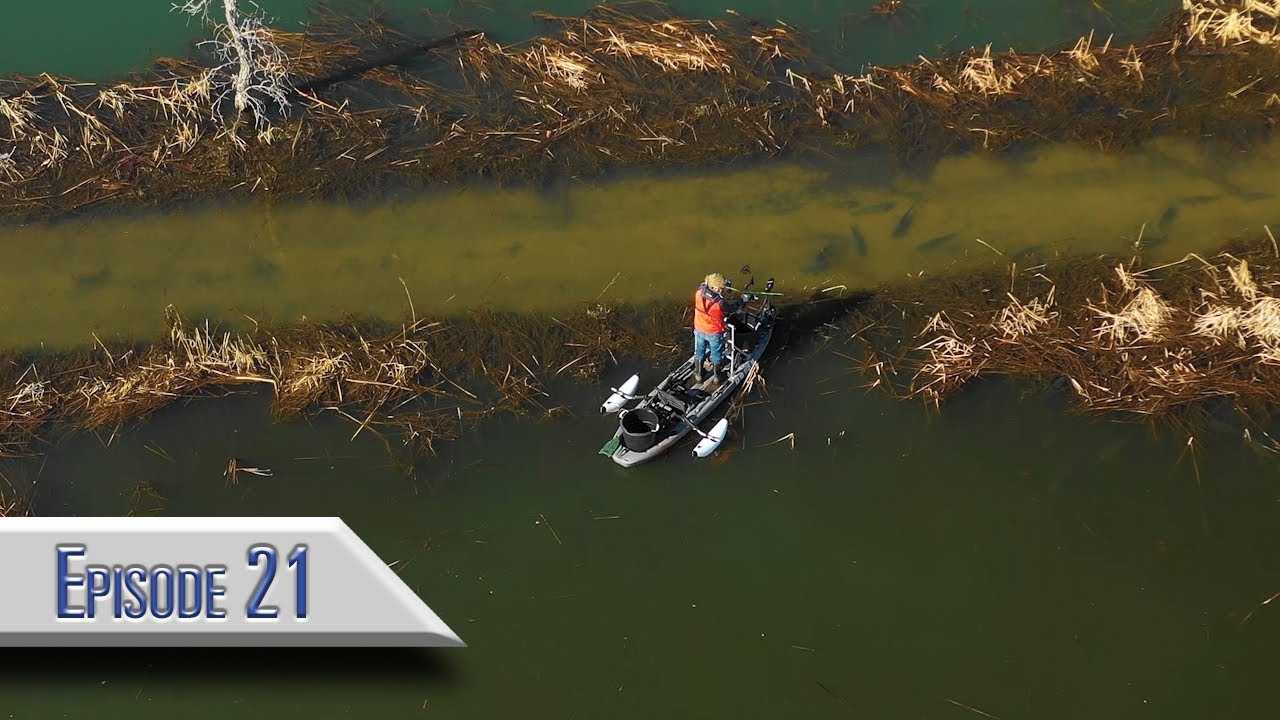 Episode 21  Kayak Bowfishing with Brad Norton /Bowfishing Buzz Podcast with video