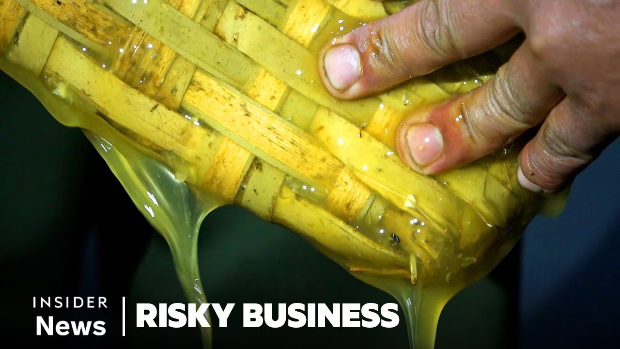How People In Nepal Risk Their Lives To Find 'Mad Honey' | Risky Business | Business Insider