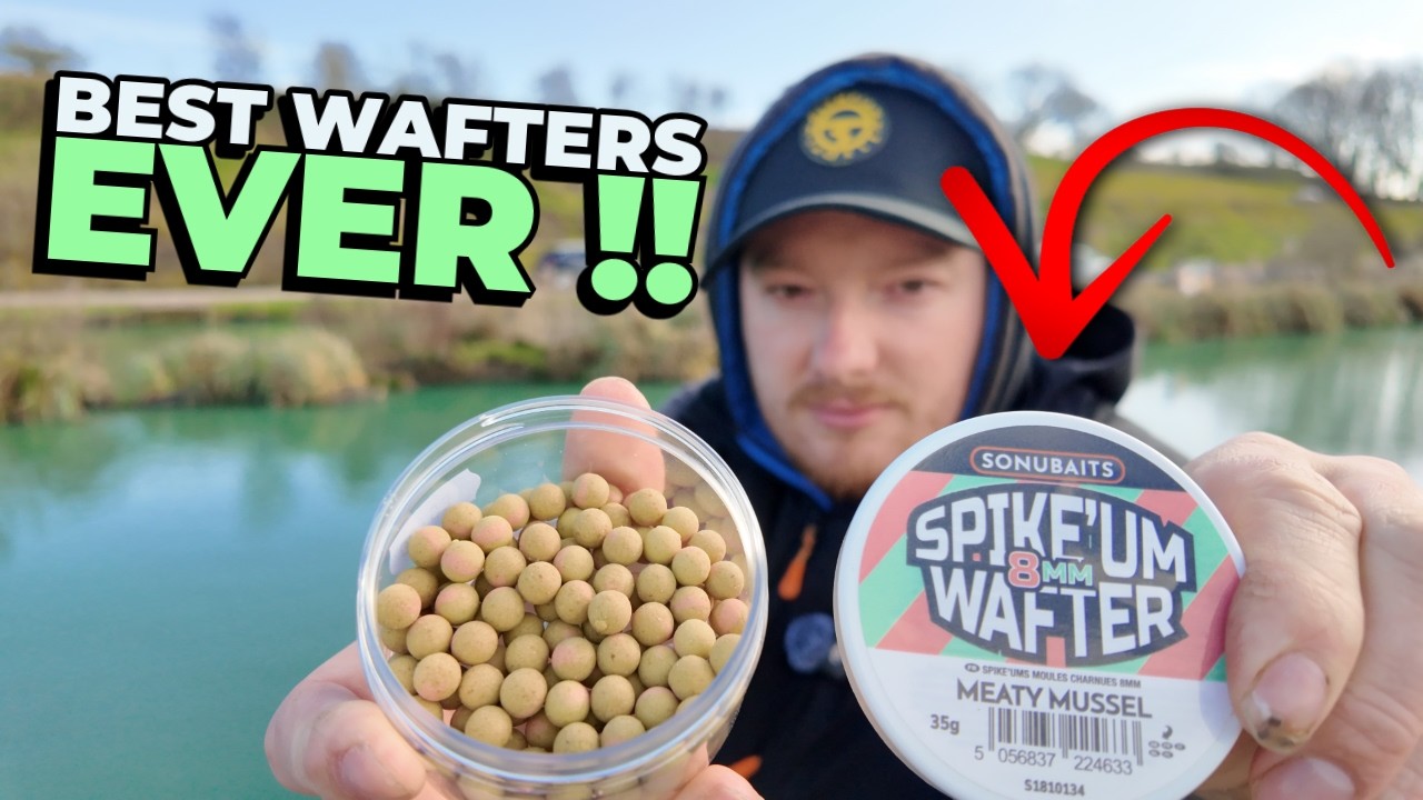 Метод фидерной ловли на НОВУЮ приманку Sonu Baits Spike'um Wafter Meaty Mussel !!!