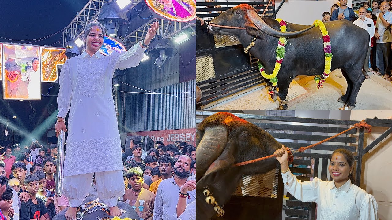 Sadar Icon Swapna Yadav Sadar 2025 | Swapna Yadav Teenmar Dance  | Swapna Yadav Lifting Bull 
