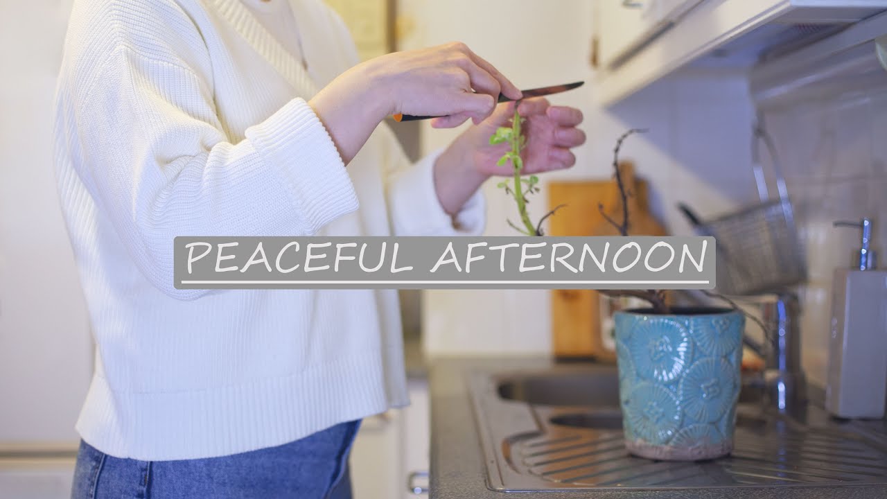 A Calm Day of Plant Care, Casserole, & Air Fryer chips — a silent vlog