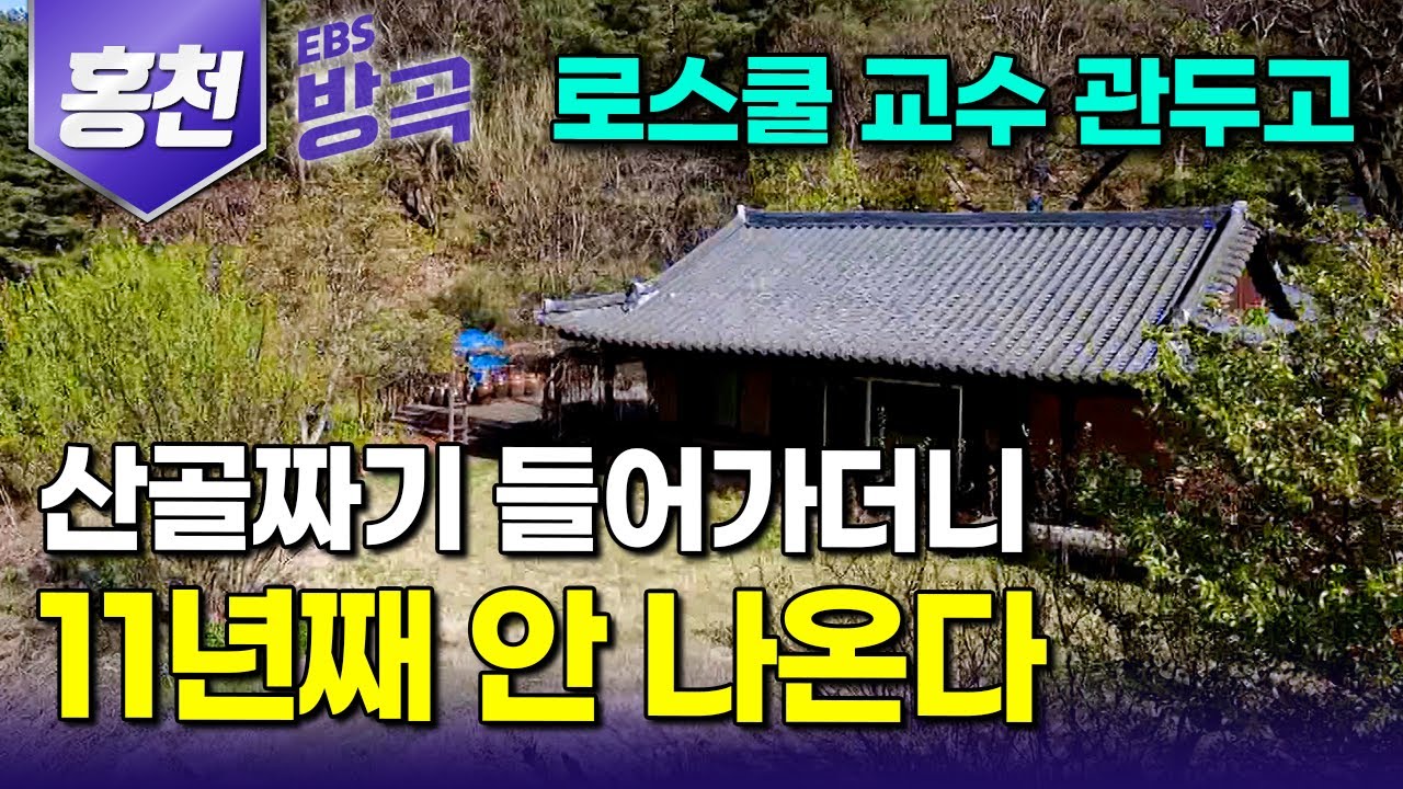 [강원 홍천] 