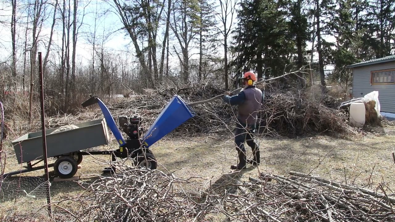 Powerfist 420cc / 15hp Wood Chipper vs Black Walnut