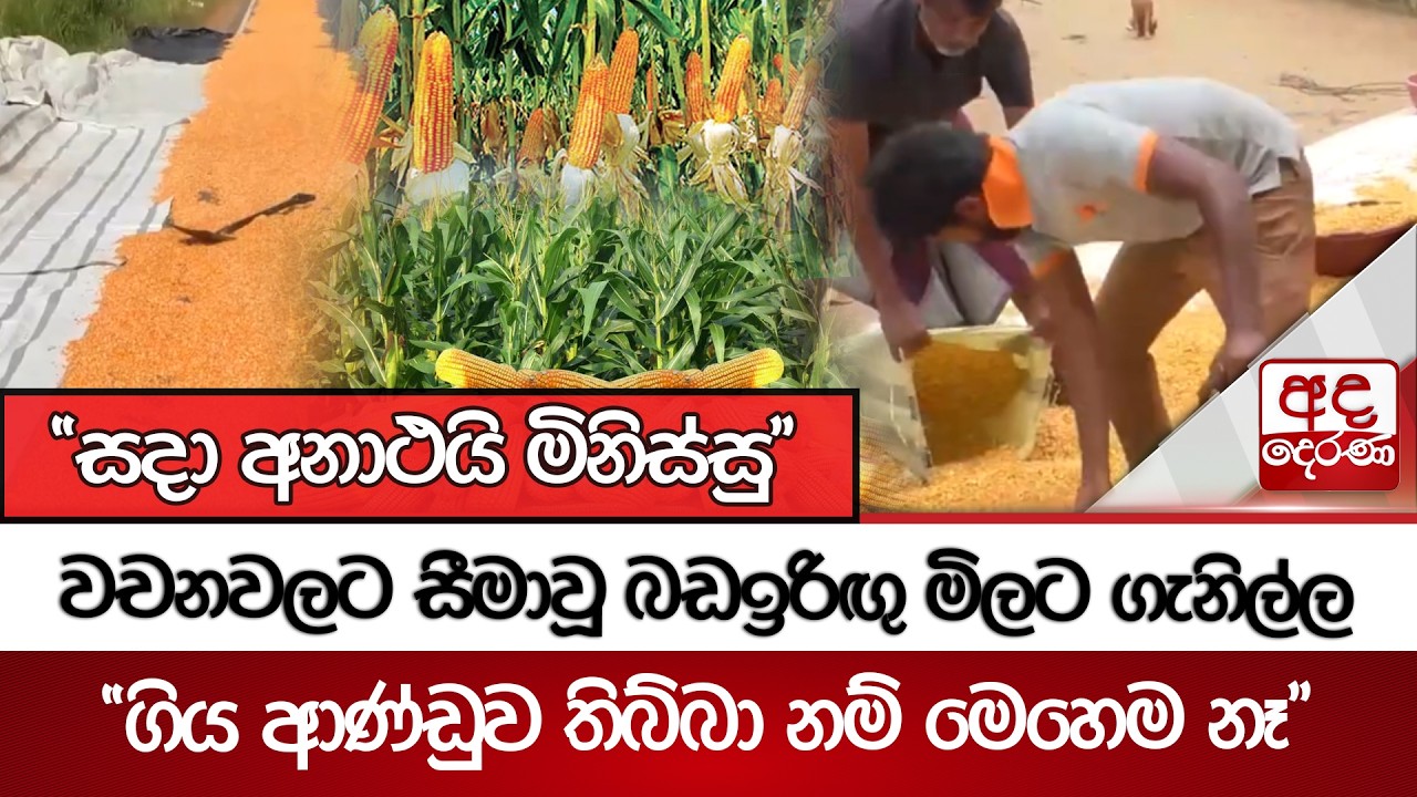 වචනවලට සීමාවූ බඩඉරිඟු මිලට ගැනිල්ල..  | 