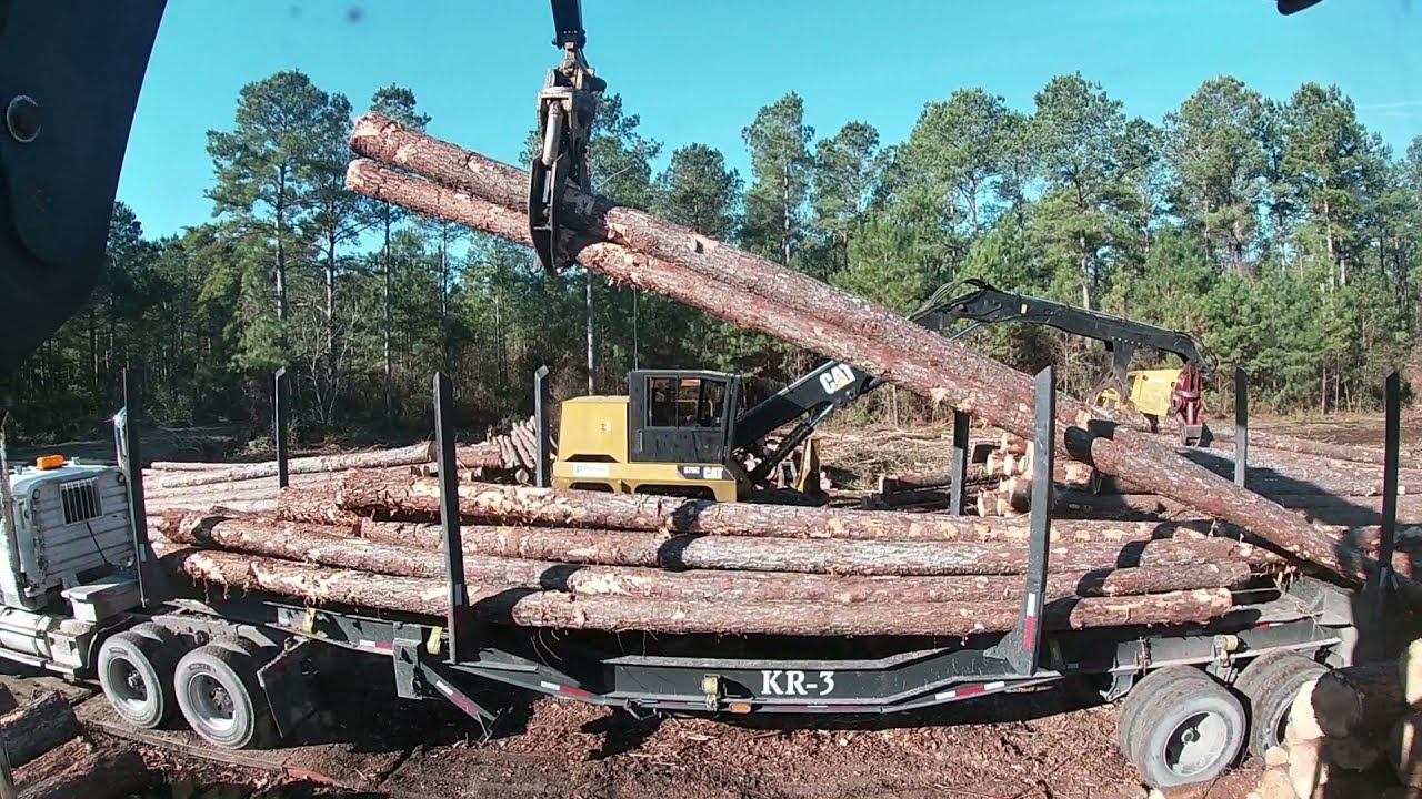 Dirty South logging- Man down man down