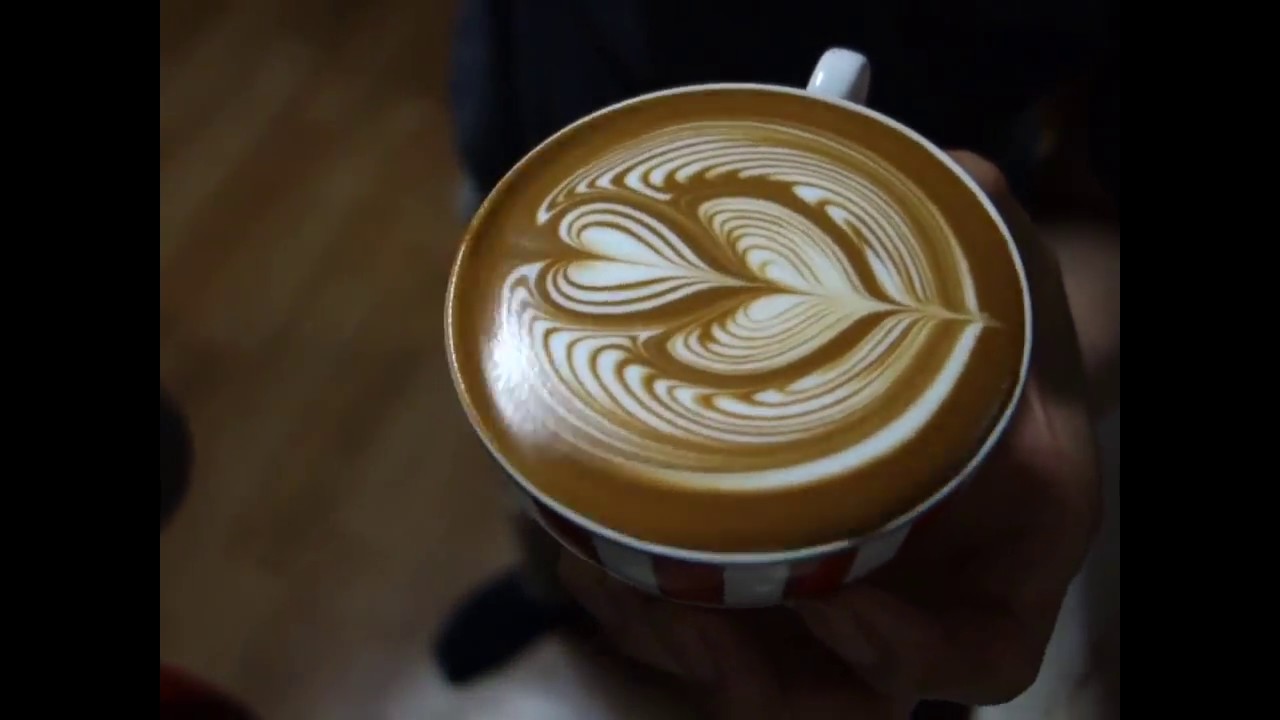 latte art video Wing Tulip Collection
