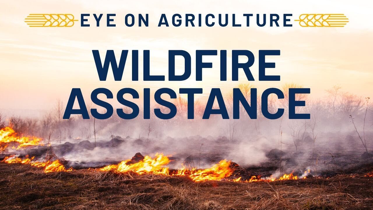 FFA Wildfire Assistance