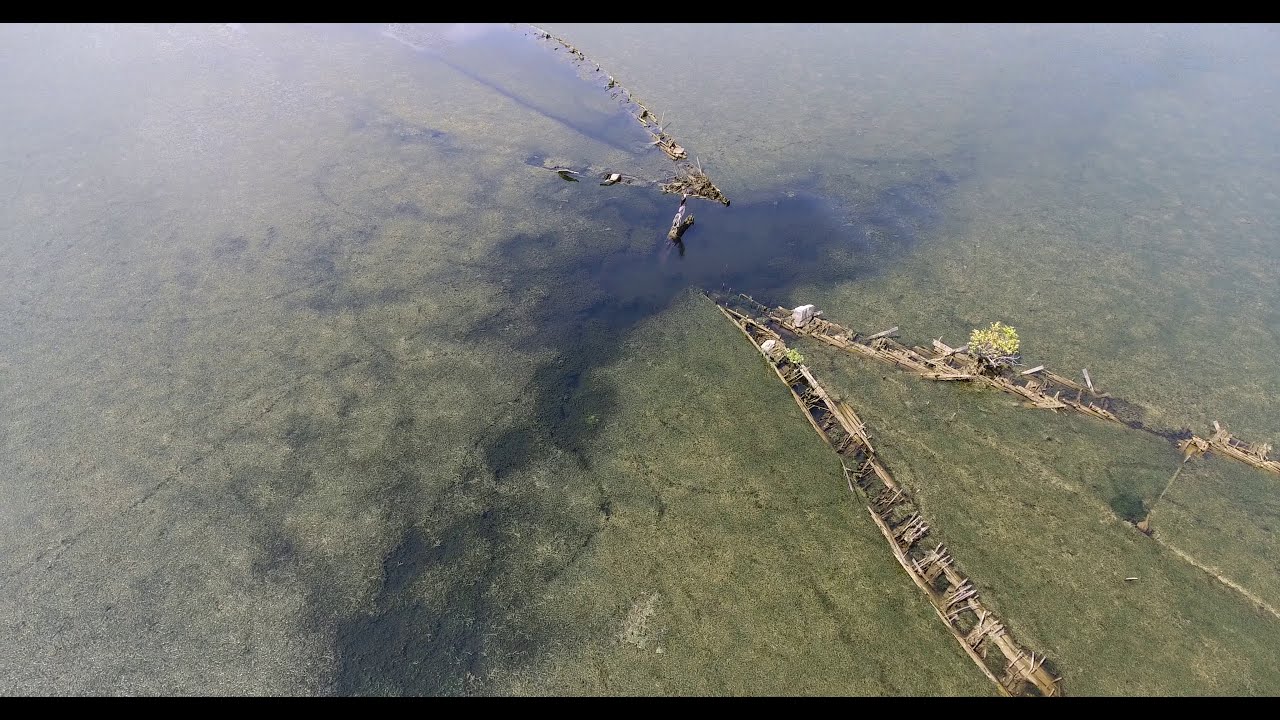 Mallows Bay, Nanjemoy, MD