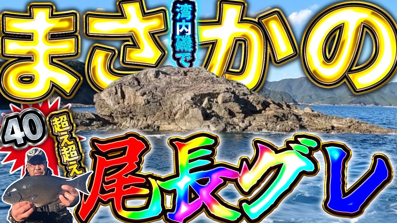 【必見・㊙︎磯】なんと！湾内磯でまさかの40超え超え尾長グレ！！