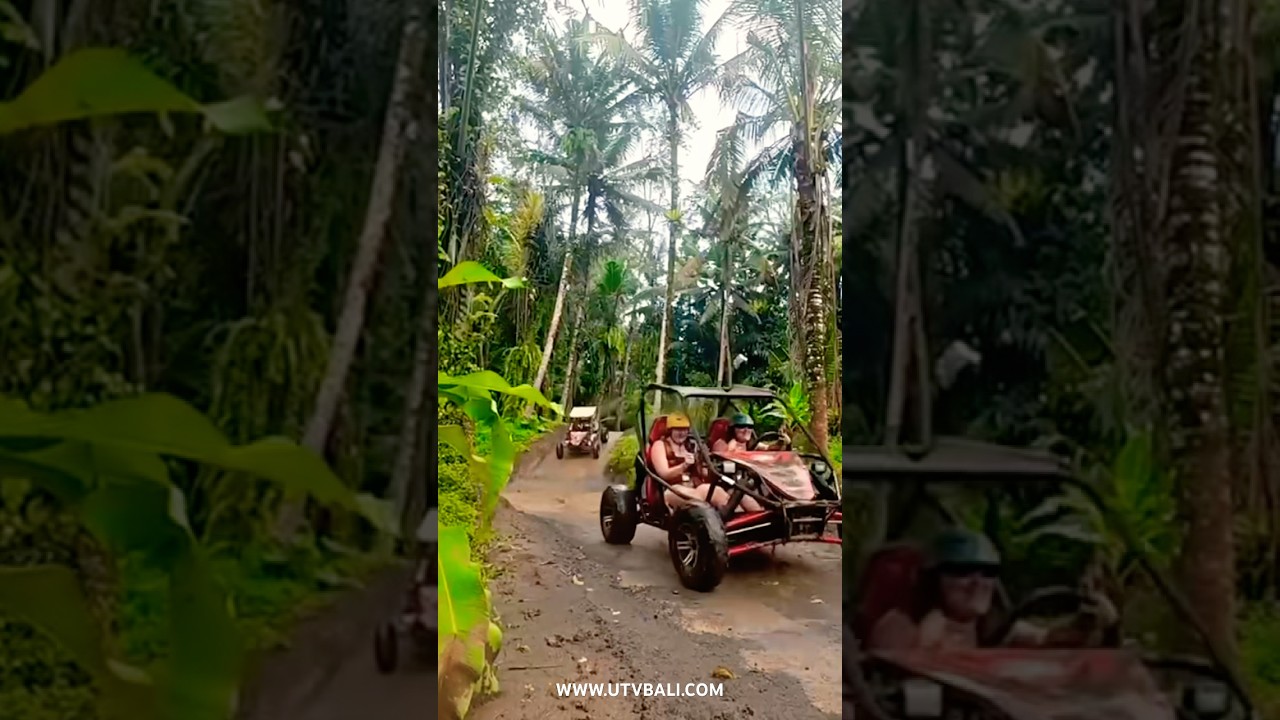 Jungle UTV Buggy - Explore Ubud nature with UTV Bali #utvbali #utvadventure #buggy #balibuggy #fyp