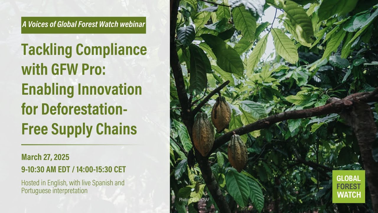 Tackling Compliance with GFW Pro: Enabling Innovation for Deforestation-Free Supply Chains