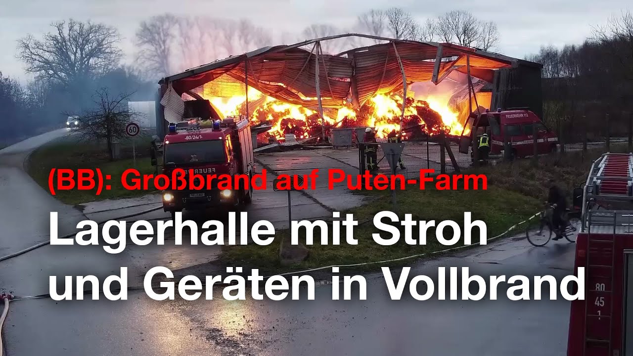 Hohe Flammen schlagen aus dem Dach: Großbrand zerstört Lagerhalle einer Putenfarm