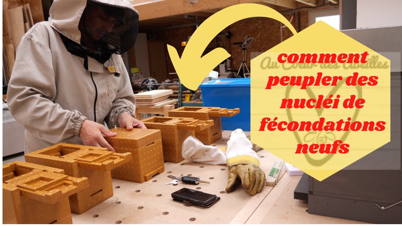 endormir ses abeilles pour peupler ses nucléi