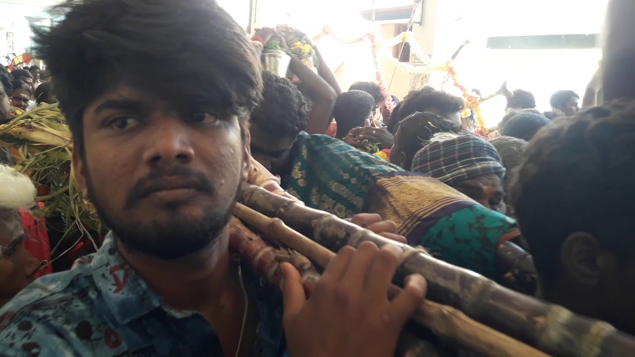 திருவப்பூர் முத்துமாரியம்மன் தேர் திருவிழா பால்குடம் மற்றும் காவடி