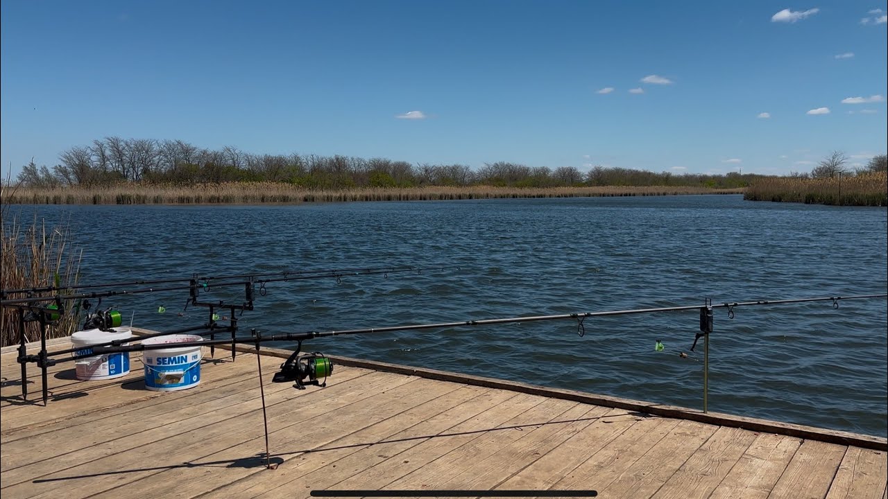 Карповая рыбалка открытие сезона на озере ТЕМЕШ #carp#рыбалка #fishing #рыбалканаозере #карп