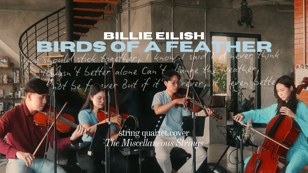 Billie Eilish - Birds Of A Feather | String Quartet Cover by The Misc. Strings