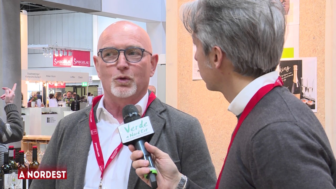 Prowein 2017: parliamo di vini Bio con Settimo Pizzolato della Cantina Pizzolato
