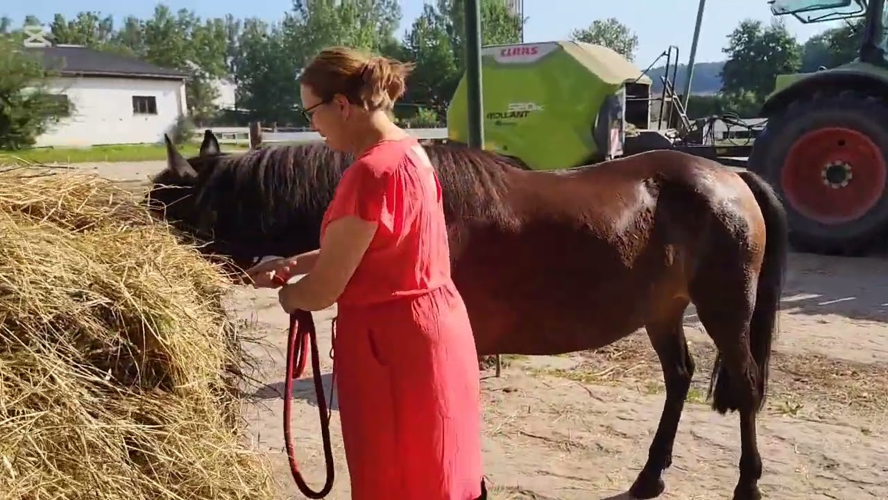 30°- UPAŁ W STAJNI