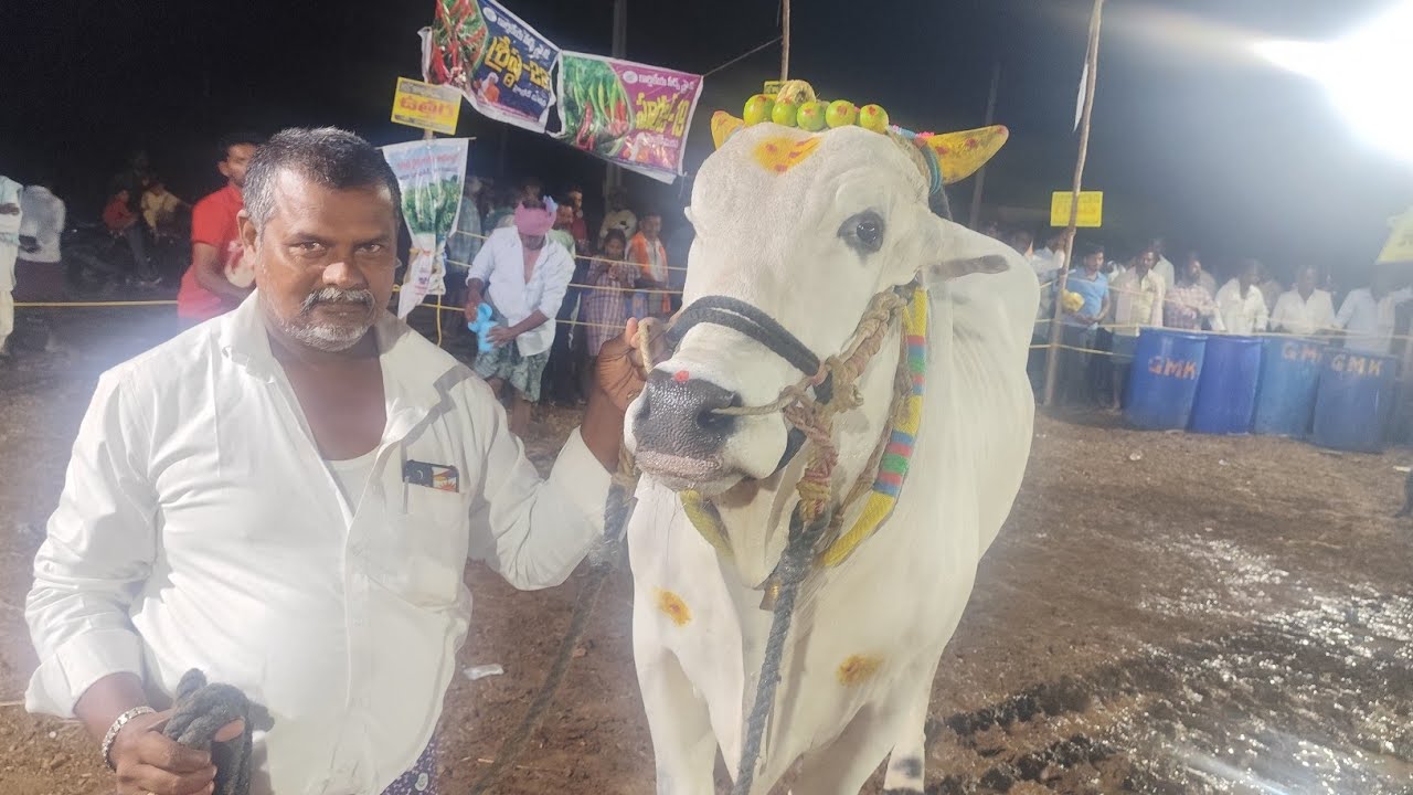 మాచవరం న్యూ కేటగిరి 6వ  రామినేని రత్తయ్య చౌదరి గారు   తోటపాలెం