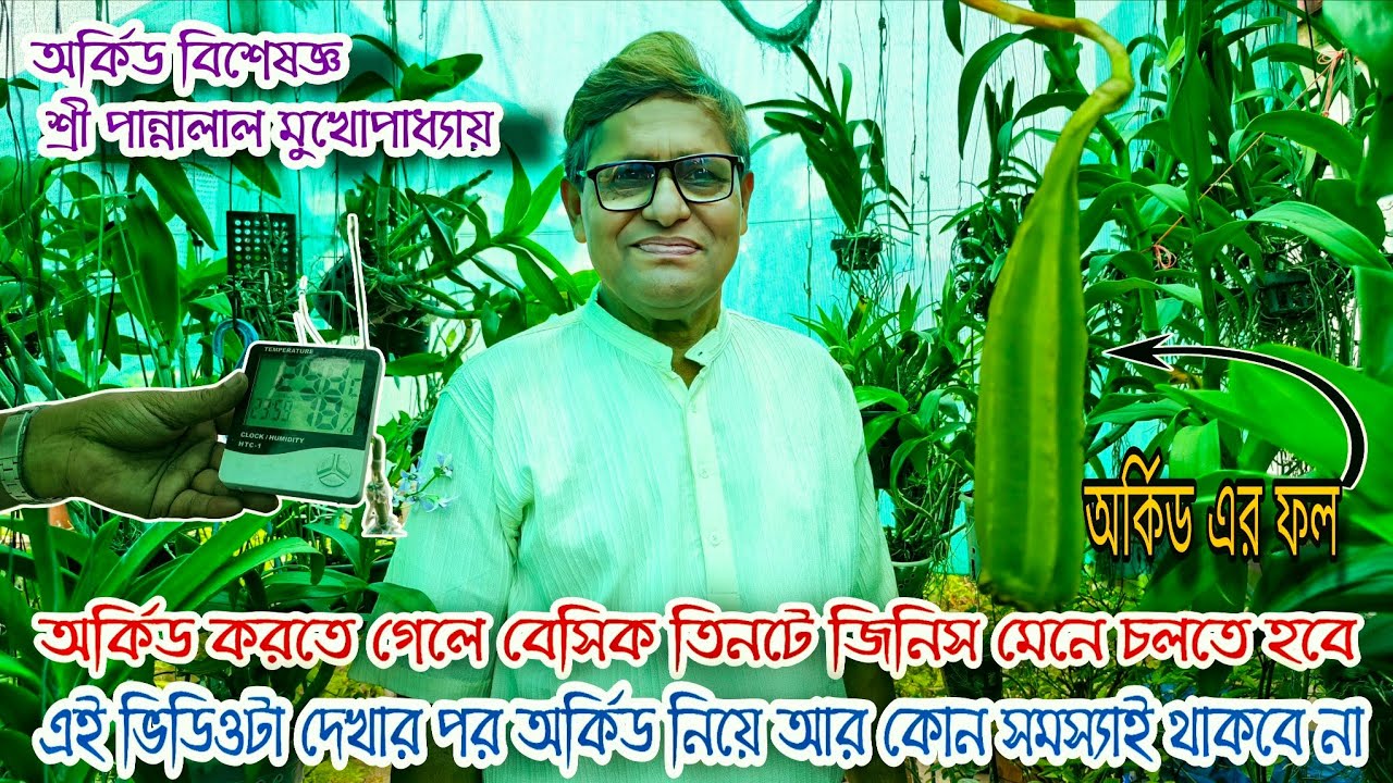 অর্কিডের খাবার জল আলো ও জায়গা সম্পূর্ণ পরিচর্যা এই একটা ভিডিও যথেষ্ট গাছ করার জন্য / Orchid care
