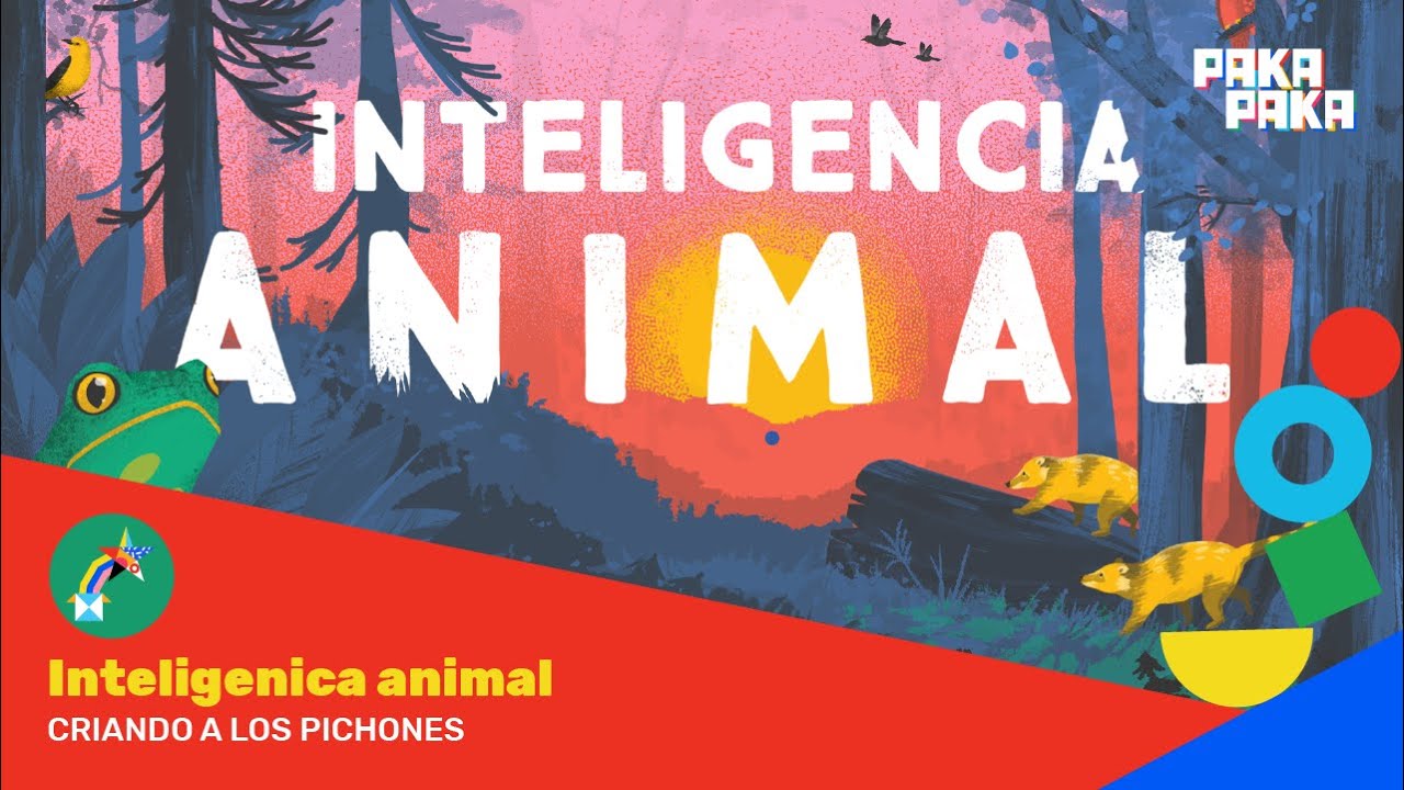 Inteligencia Animal - Cap. 3: Criando a los pichones - Pakapaka