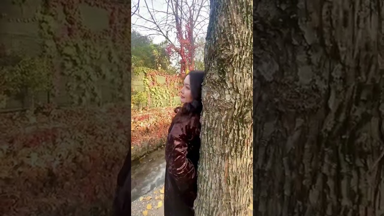 Мен сені сүйеді екем. Поэзия Кунсулу Тургынбеккызы