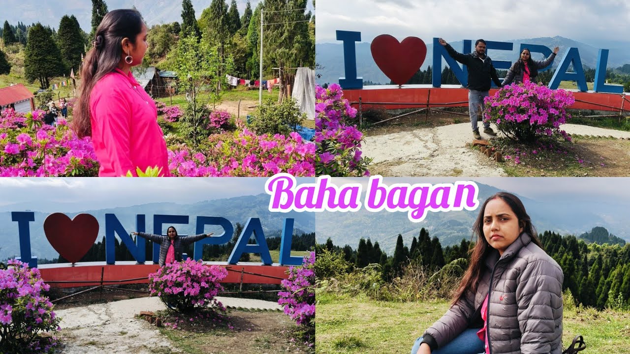 Buru chetan re Gufapatel Baha bagan. santali Blog video.@shyamshanti4908 