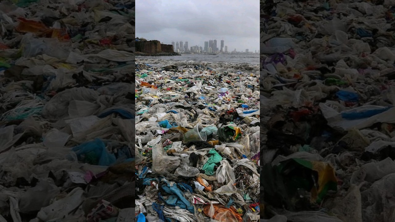 Cu&aacute;les son las playas m&aacute;s contaminadas??