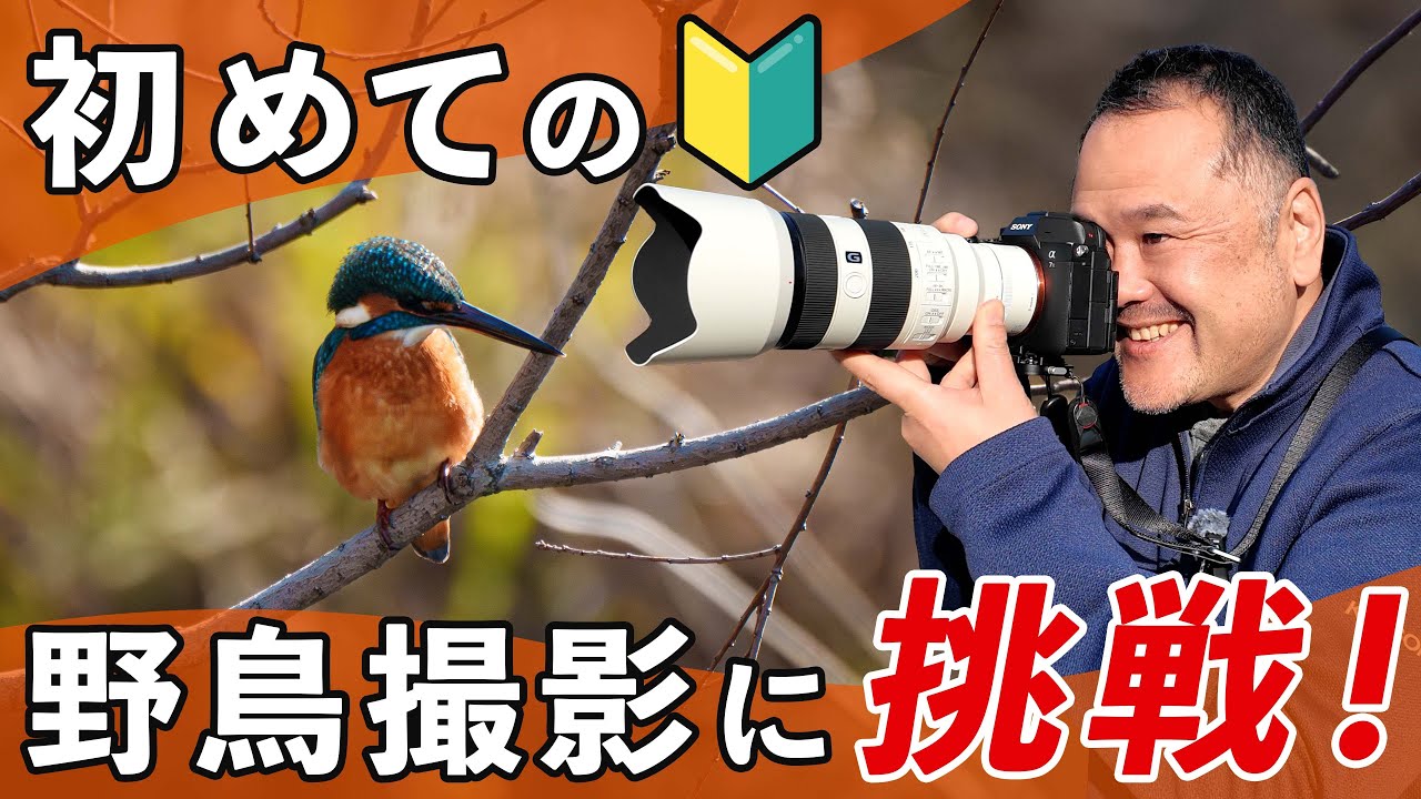 ガチ初心者が初めて野鳥撮影に挑戦してみた結果…