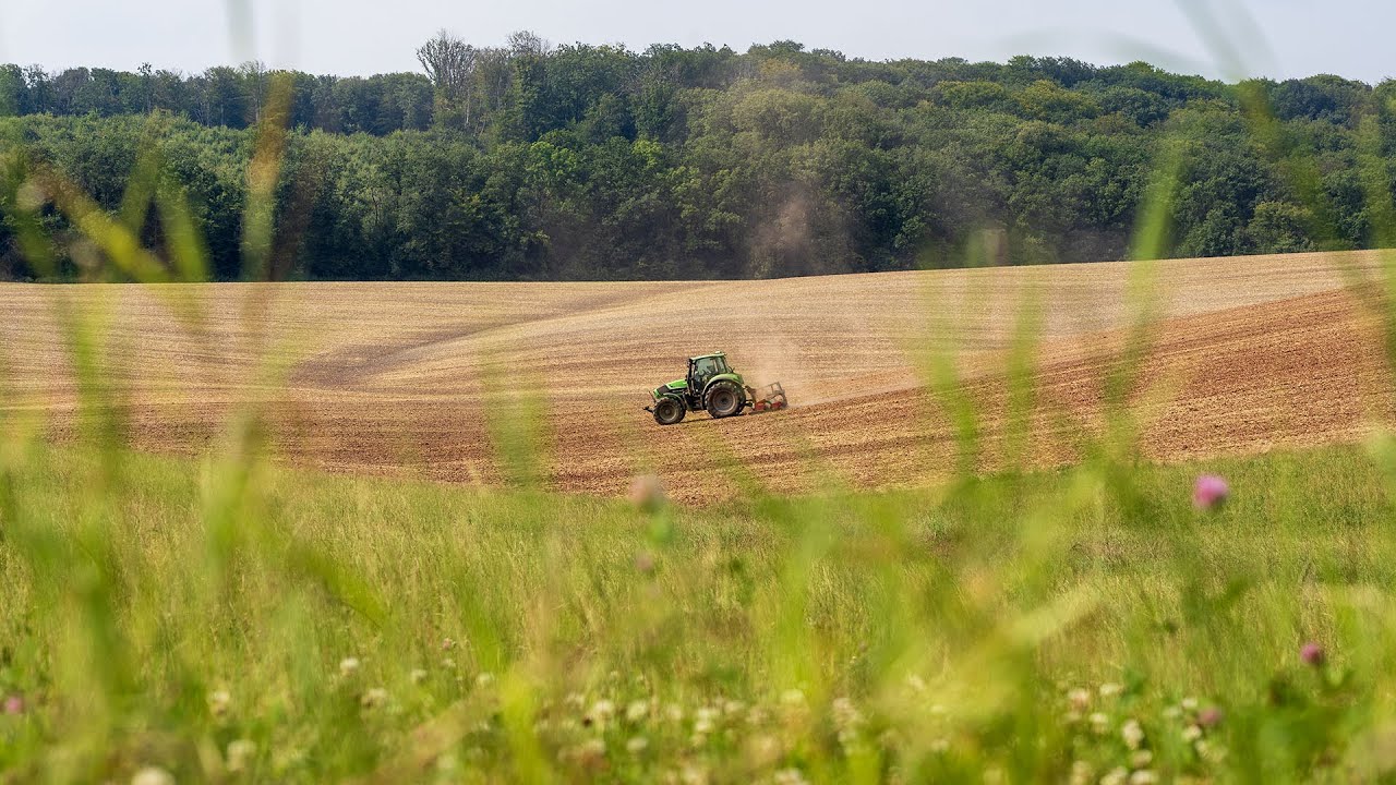 Une moisson de longue haleine entre pluie et soleil