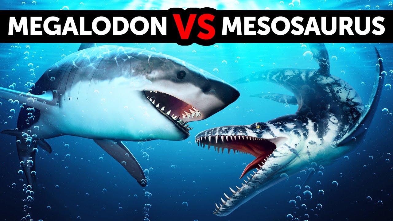Megalodon Versus Mosasaurus si Dino Laut Raksasa, Mana yang Lebih Jagoan?