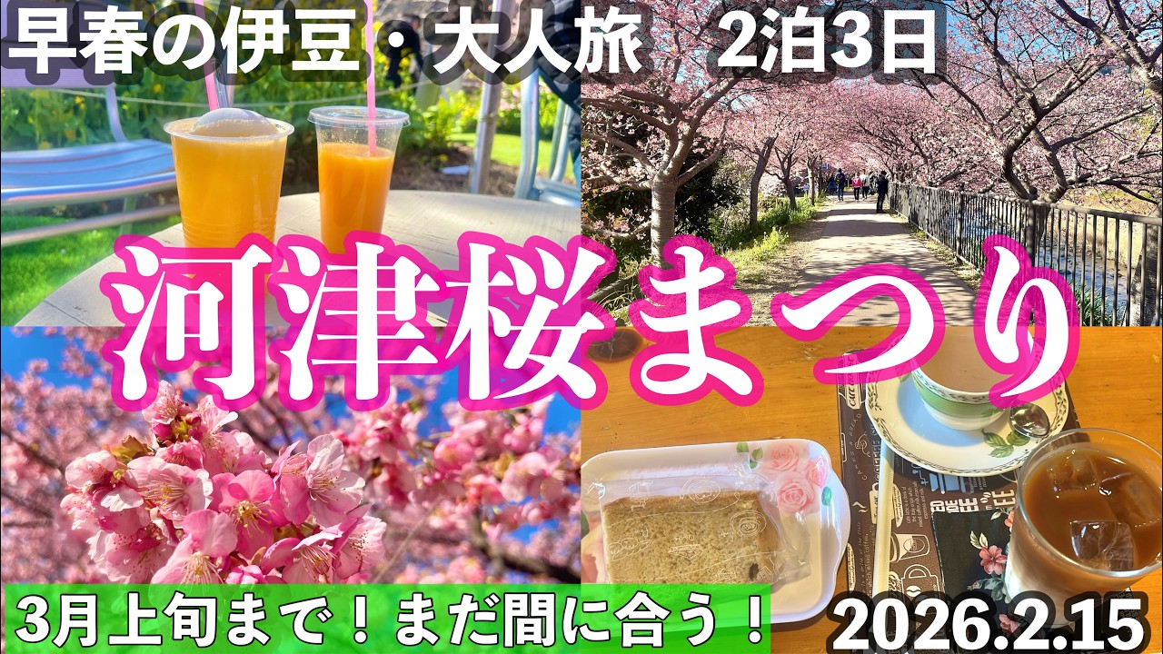 【字幕】大人の静岡 #伊豆旅  🌸早春の #河津桜 ②2026年2月🔰初めての河津桜祭り！おすすめルート　＃カフェ　＃河津　＃河津温泉郷　＃Kawazu ＃Shizuoka ＃Kawazuzakura
