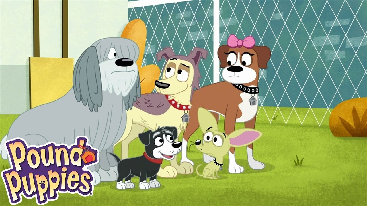 Pound Puppies | Taboo | COMPILATION | Season 1 | Pet Cartoon