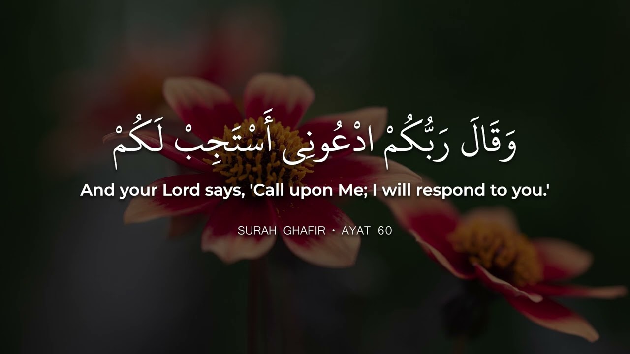 Surah Sad • Beautiful Quran Recitation by Hazza Al Balushi