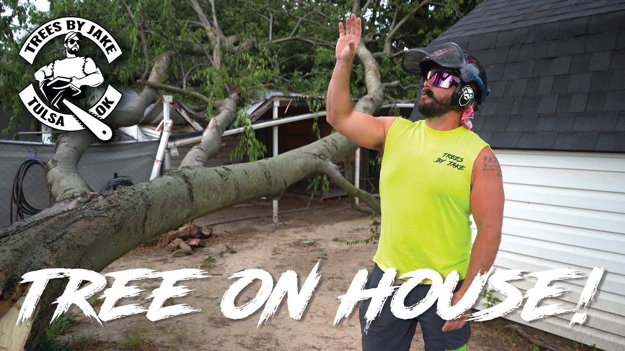 Emergency Tree Removal - Split Hackberry Falls on House