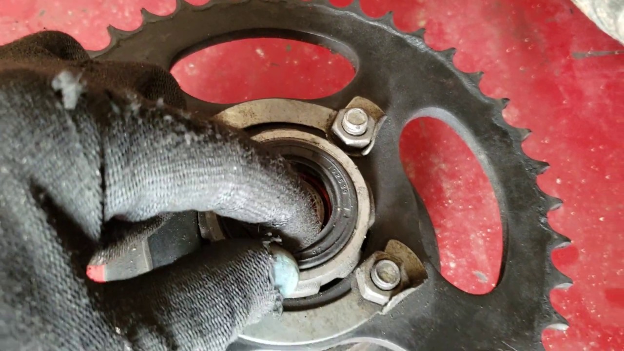 Sprocket o catalina con juego excesivo