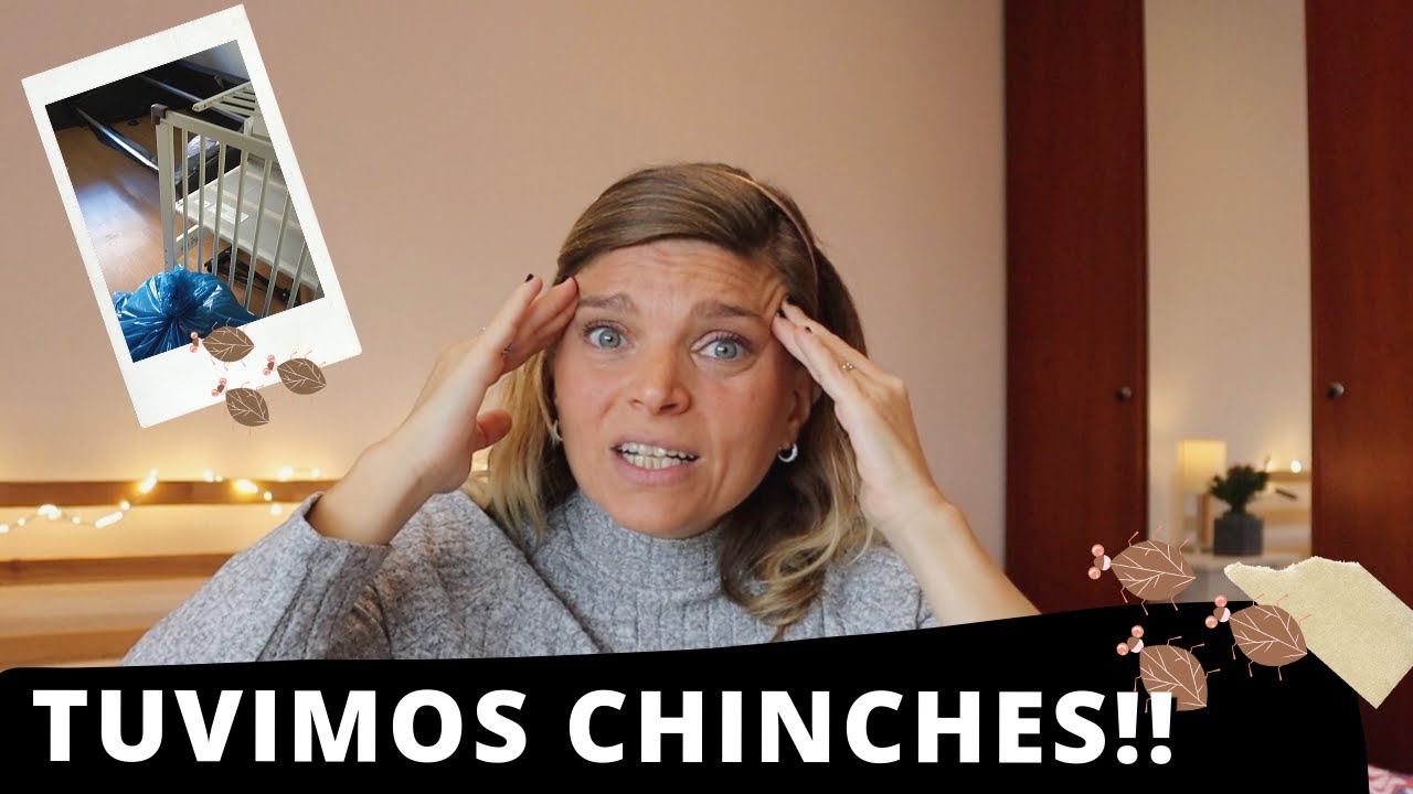 COMO ELIMINAMOS las CHINCHES de CAMA - Nuestra experiencia con este maldito bicho 🪳