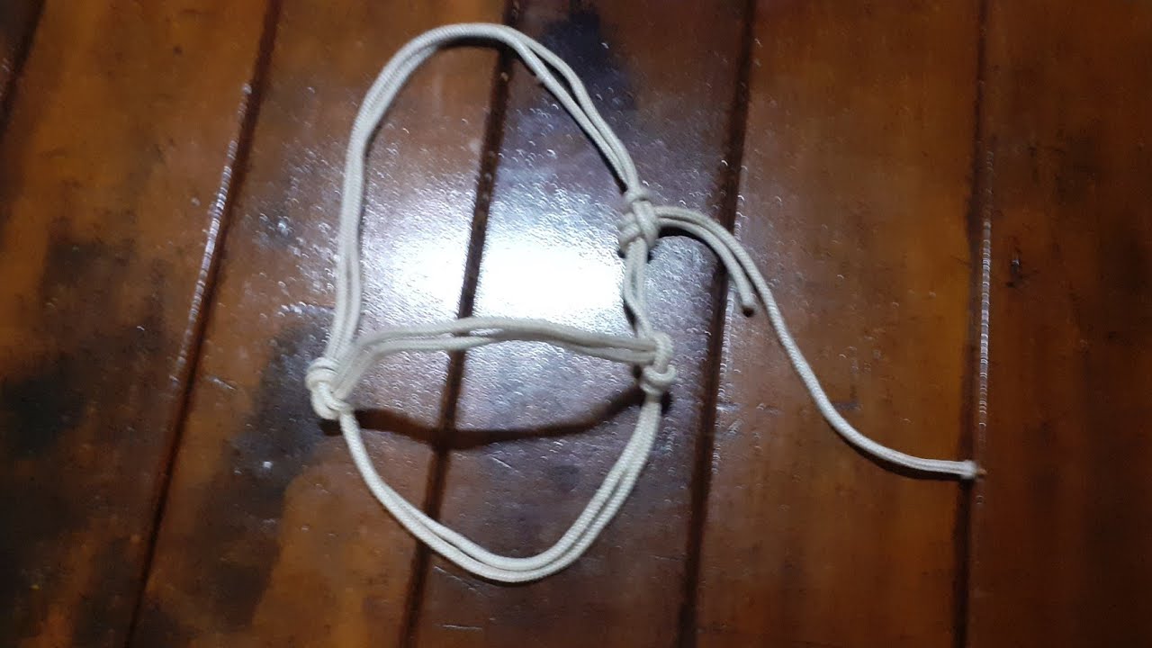 Novo cabresto com nó diferente.