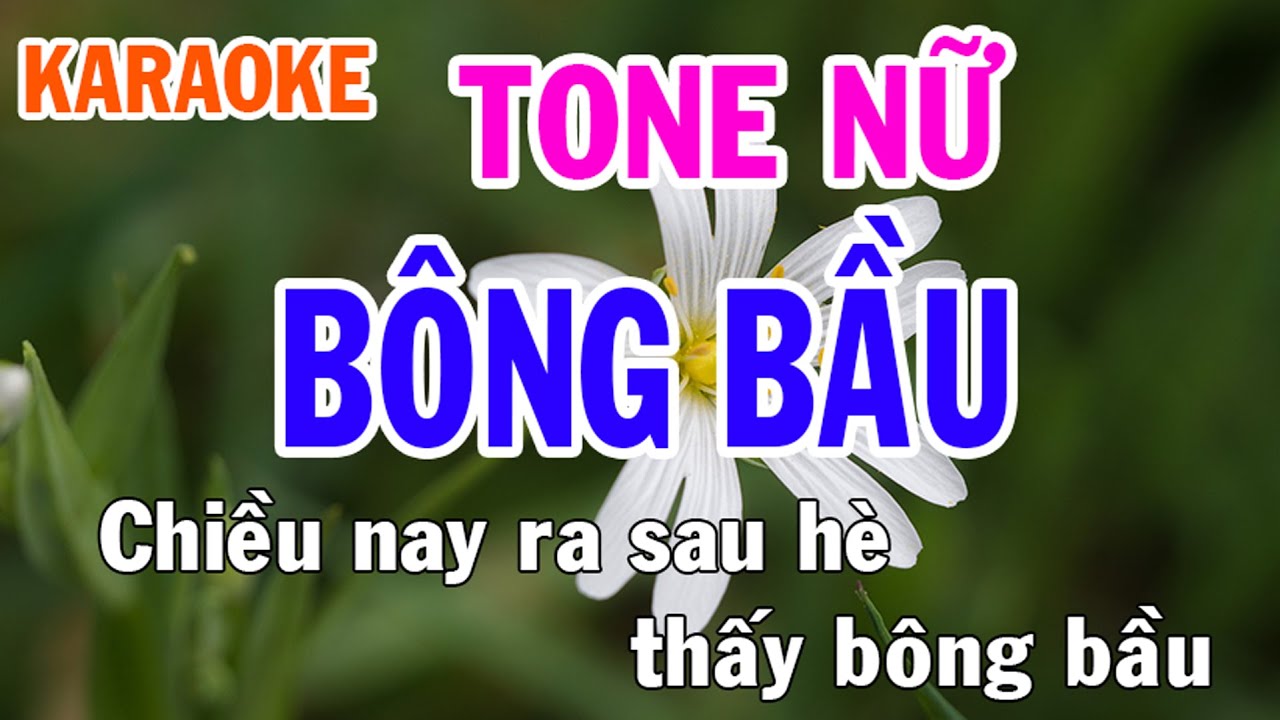 Bông Bầu Karaoke Tone Nữ Nhạc Sống - Phối Mới Dễ Hát - Nhật Nguyễn
