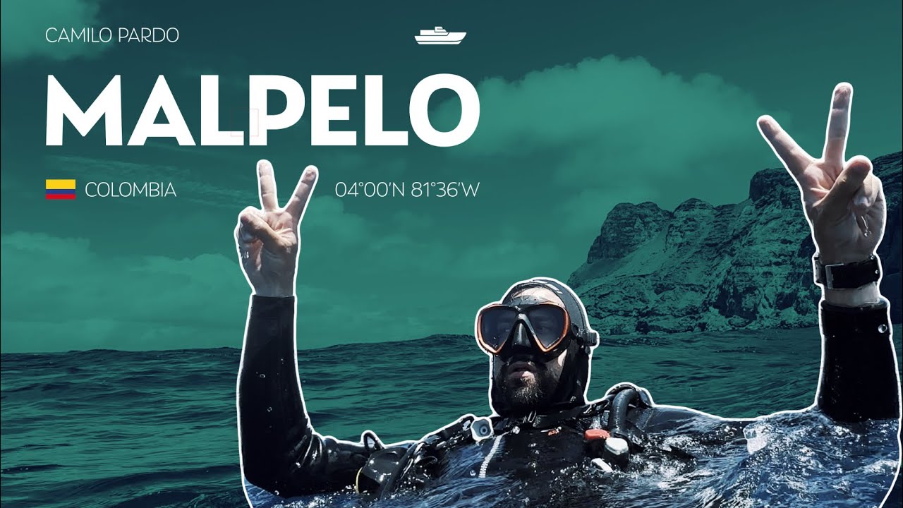 CamiloPViajes: MALPELO 🇨🇴 | Nadando con TIBURONES