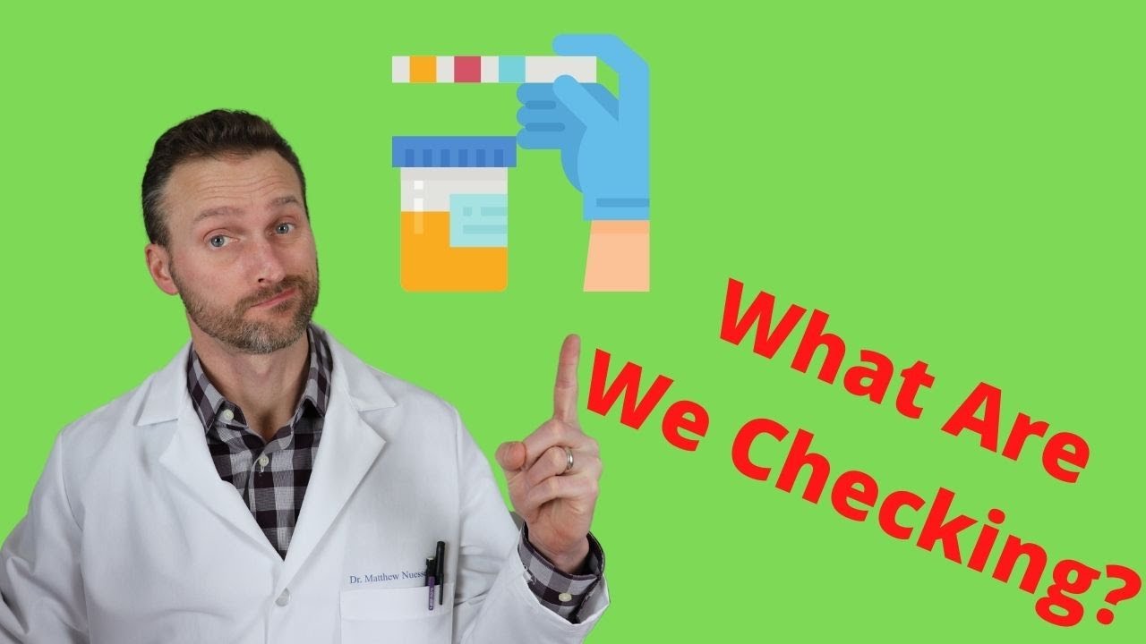 DOT physical urine test - What are we looking for?