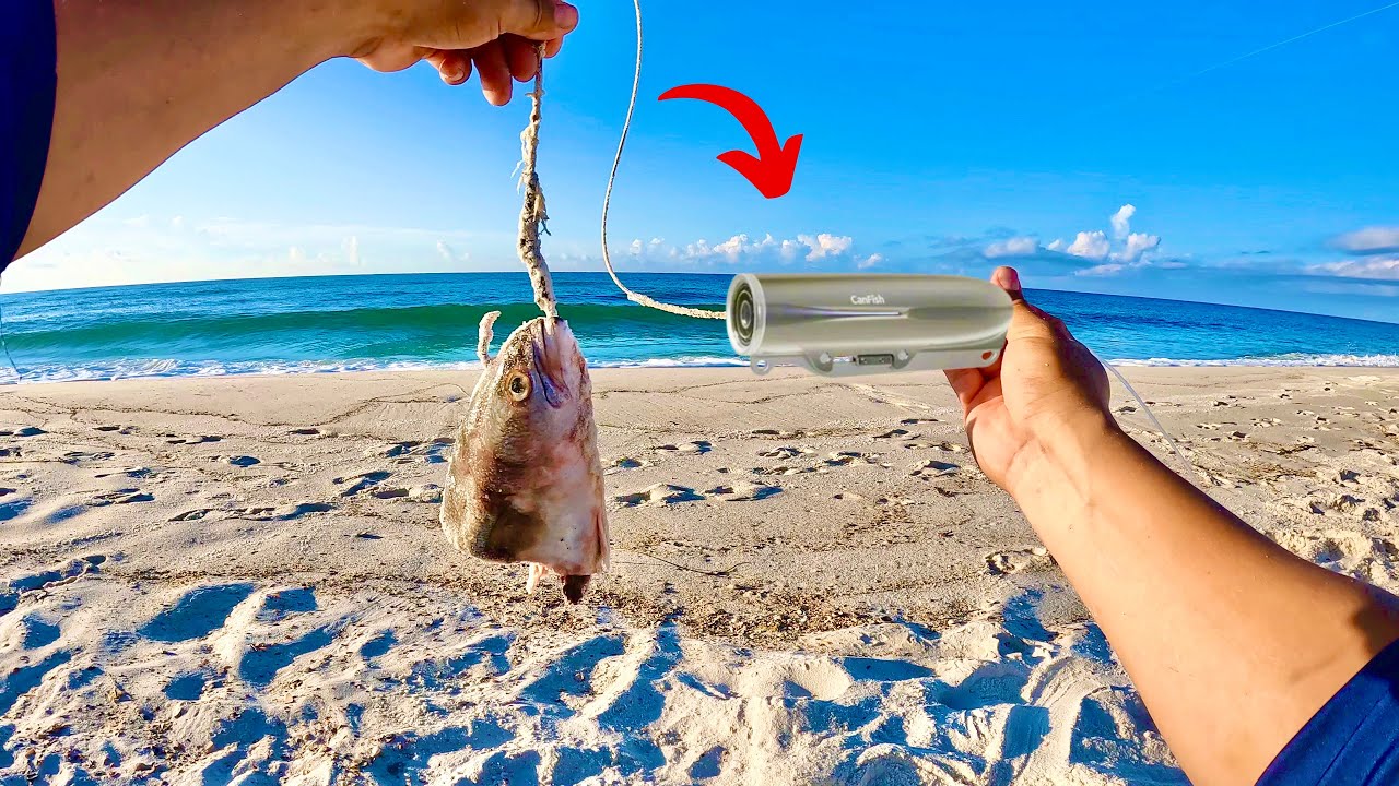 I Attached this Camera to this Big bait and Saw This!